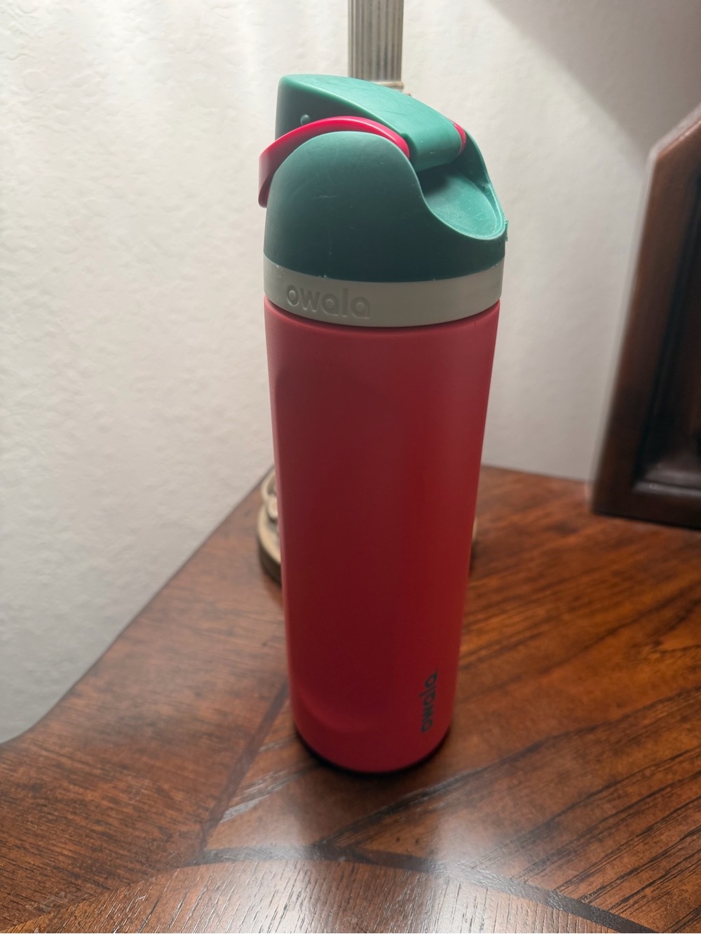 Owala Disney Strawberry Field FreeSip Insulated Stainless Steel Water Bottle
